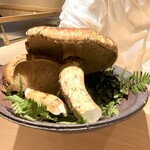 新ばし 星野 - 岩手産松茸