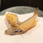 天ぷら岡本 - 天ぷら岡本(本ししゃも)