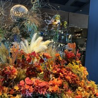 boB the garden Ginza - 