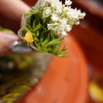 草喰 なかひがし - 