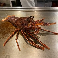 ニュージョイブル - 