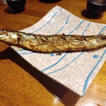 Spice Drunker やぶや - 