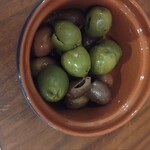 Apricus - オリーブ