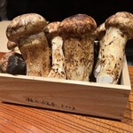他力野割烹 - 見たこともないようなサイズの岩手産の松茸。