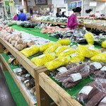 道の駅 はしかみ - 