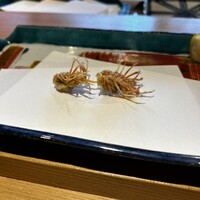 真心庵 天真 - 