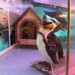 ペンギンのいるダイニングバー沖縄 - 