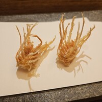 天 よこた - 