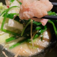 博多もつ鍋 やま中 赤坂店 - 