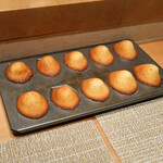 SUGALABO - マドレーヌ