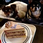 roku cafe - わんこ乗ってる！スポンジ間にマロンごろごろ