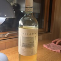 おしゃべりきのこ - 
