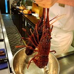 中納言 千日前味楽館 - 