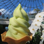 とっとり花回廊 ソフトクリーム売店 - 料理写真:梨ソフトクリーム