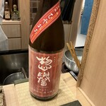 鮨桂太 - 日本酒