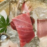 しんのすけ - さわら
      あかむつ生本まぐろ_中とろ、赤身