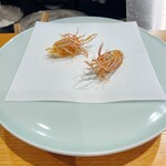 天ぷら割烹 たかの - 