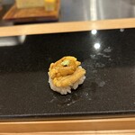 鮨と天草大王 天音 - 