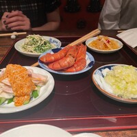雪梅花 菜根譚 - 