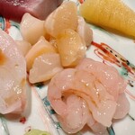 すが弥 - 小柱と、あえて小さめの甘海老。ネットリとした甘みが特徴です