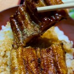 かぼちゃのたね - 