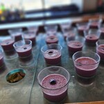 シリウス - 冷製