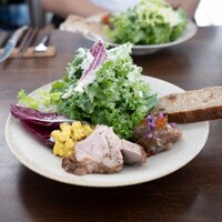 サリーヒルズ -  サリーヒルズ -