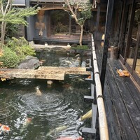 炭焼うな富士 白壁別邸 - 鯉が泳いでいる中庭は素敵
