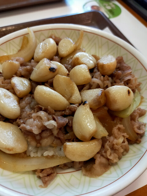 Sukiya Nishi-Oji Eki Minami Ten