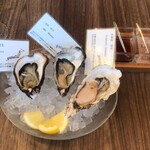 Oysterbar&Wine BELON 銀座店 - 