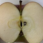 道の駅もりたアーストップ - 