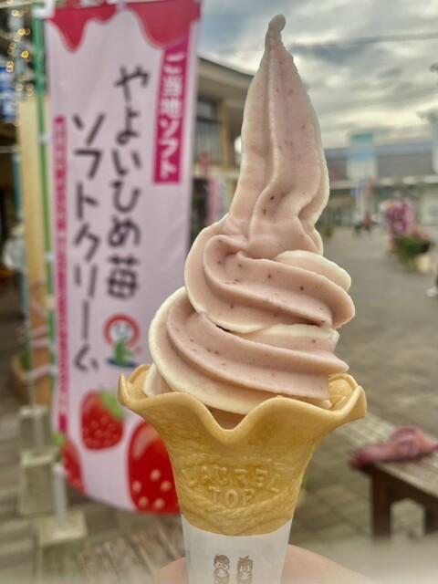 バラ売り大歓迎！1枚490円！ バラの専門通販サイト『バラと庭あそび』がオープン