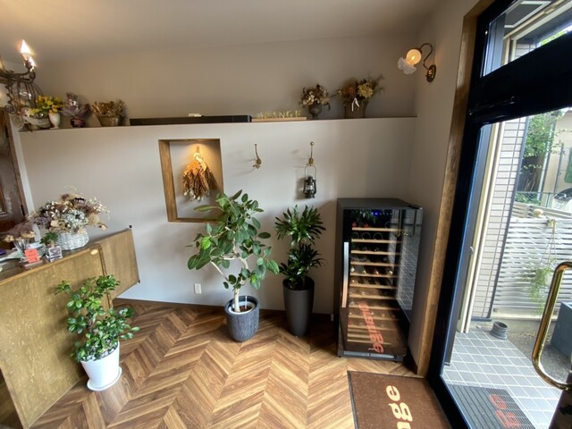 Kissa Orange Bar Orange photo 5