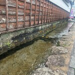 水都 島原かんざらし喫茶 - 水都と言うだけあって、水がめちゃくちゃ綺麗。