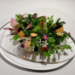 レフェルヴェソンス - 