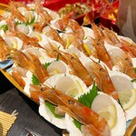 のれそれ食堂 - 