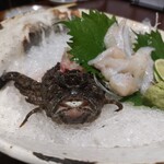 旬彩　さかなと酒　匠海 - 