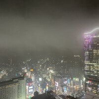 タワーズバー ベロビスト - 