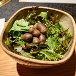 日本焼肉はせ川 別亭 - 零余子と早採り野菜のサラダ