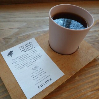 COYOTE the ordinary shop_1