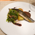 SUGALABO - 根風呂秋刀魚、高知安芸秋ナス、山梨、熟成バルサミコ