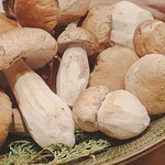 SUGALABO - 薩摩和牛の付け合わせ:
      仏産セップ茸