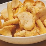 SUGALABO - スガラボ米リゾット向け素材:
      ジロール茸