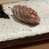 鮨 在 - 鯵