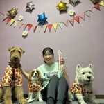 ダイニングキッチン アオヤマ - 