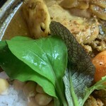 スパイスポスト - ベビーリーフ