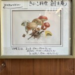 きのこ料理 創士庵 - 店内にはたくさんのキノコの額縁が。