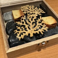 日本のイタリア料理店 sai - 