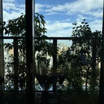 GINZA ONO Gratia -Smoke Dining- - 