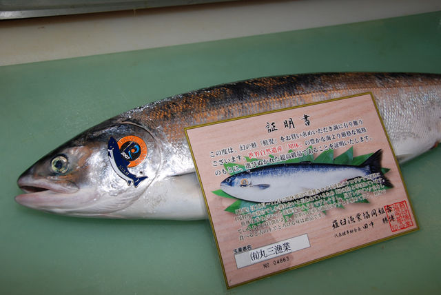 Loites レストラン 飲食店の検索 証明書付きの鮭児 けいじ です 幻の鮭です 創味魚菜 岩手川 いわてがわ